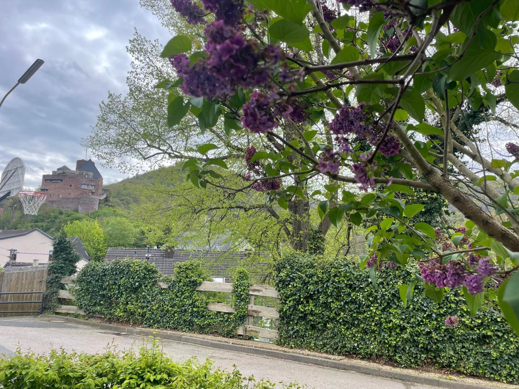 Appartamento Auf Muehlenfeld Heimbach Esterno foto